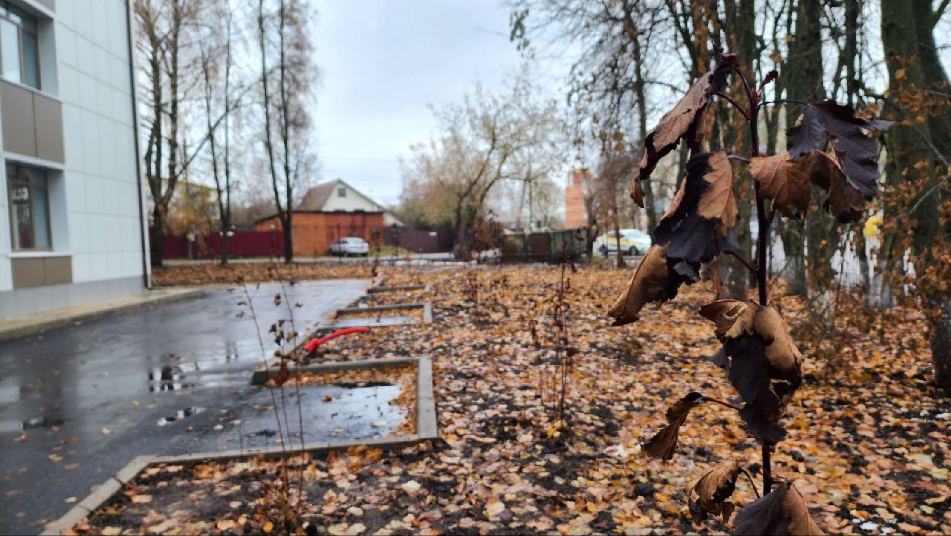 Дмитров, Областной медицинский колледж, Минздрав,