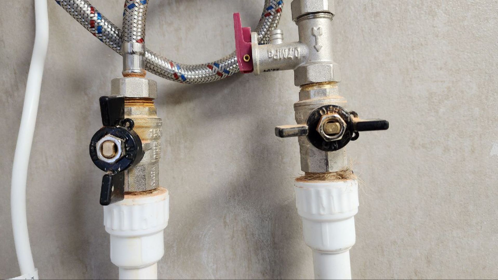 Дмитров, Областной медицинский колледж, Минздрав,