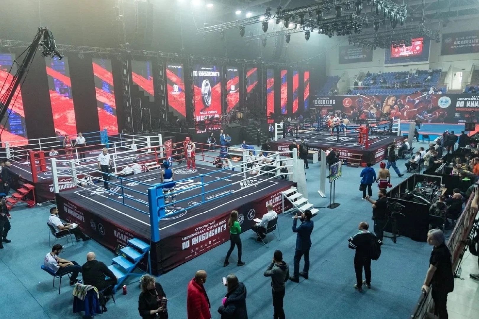 кикбоксинг, первенство, чемпионат ШОС, Капичникова, Лапенков, Росихин,