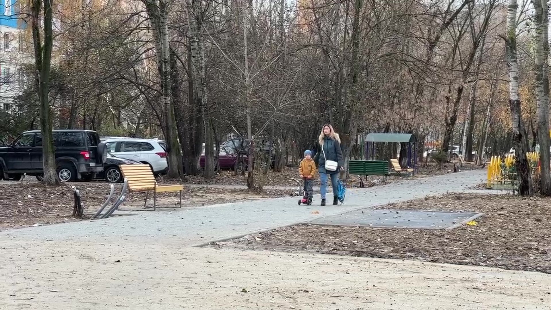 Реутов, деревья, опиловка, дендрологи,