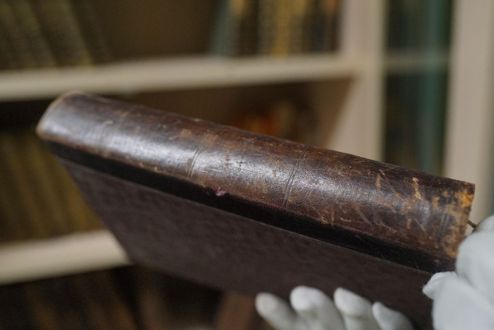 Толстой, Сытин, Никитин, книги, собрание сочинений, библиотека,