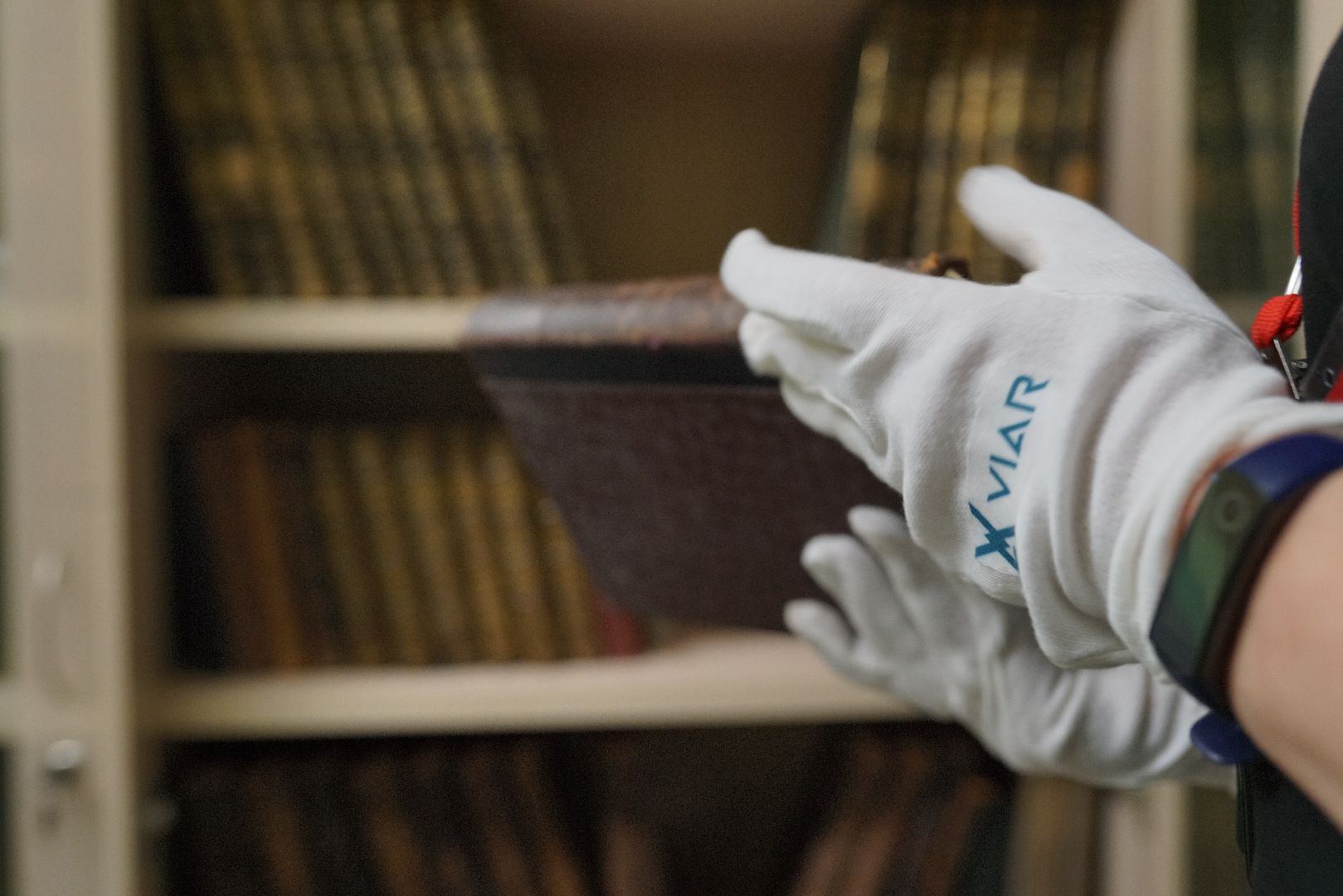 Толстой, Сытин, Никитин, книги, собрание сочинений, библиотека,