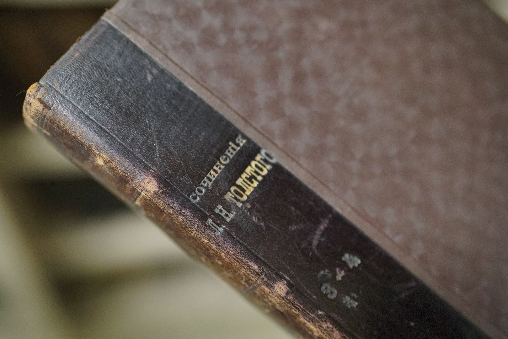 Толстой, Сытин, Никитин, книги, собрание сочинений, библиотека,