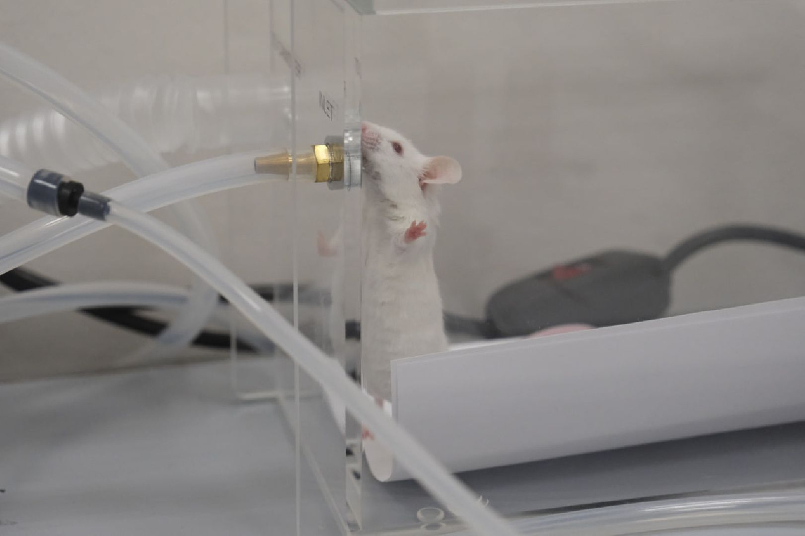 пущино, наука, медицина, премия губернатора,