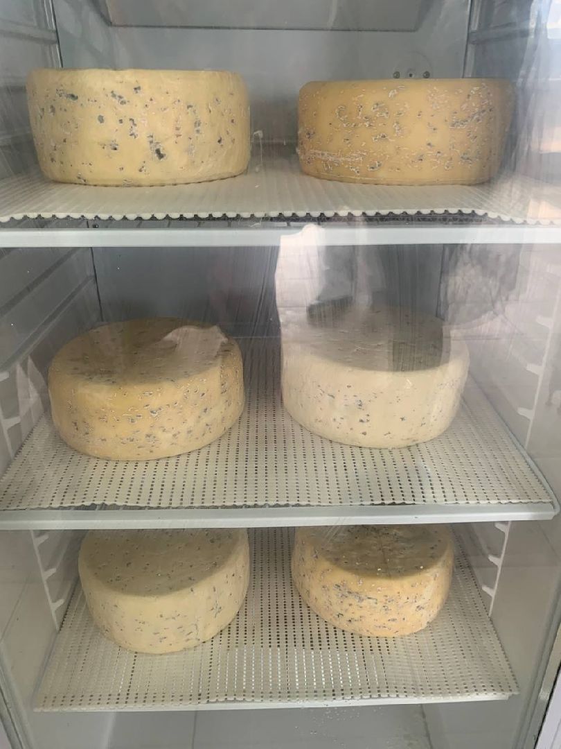 Звенигород, Фермерство, Сельское хозяйство,