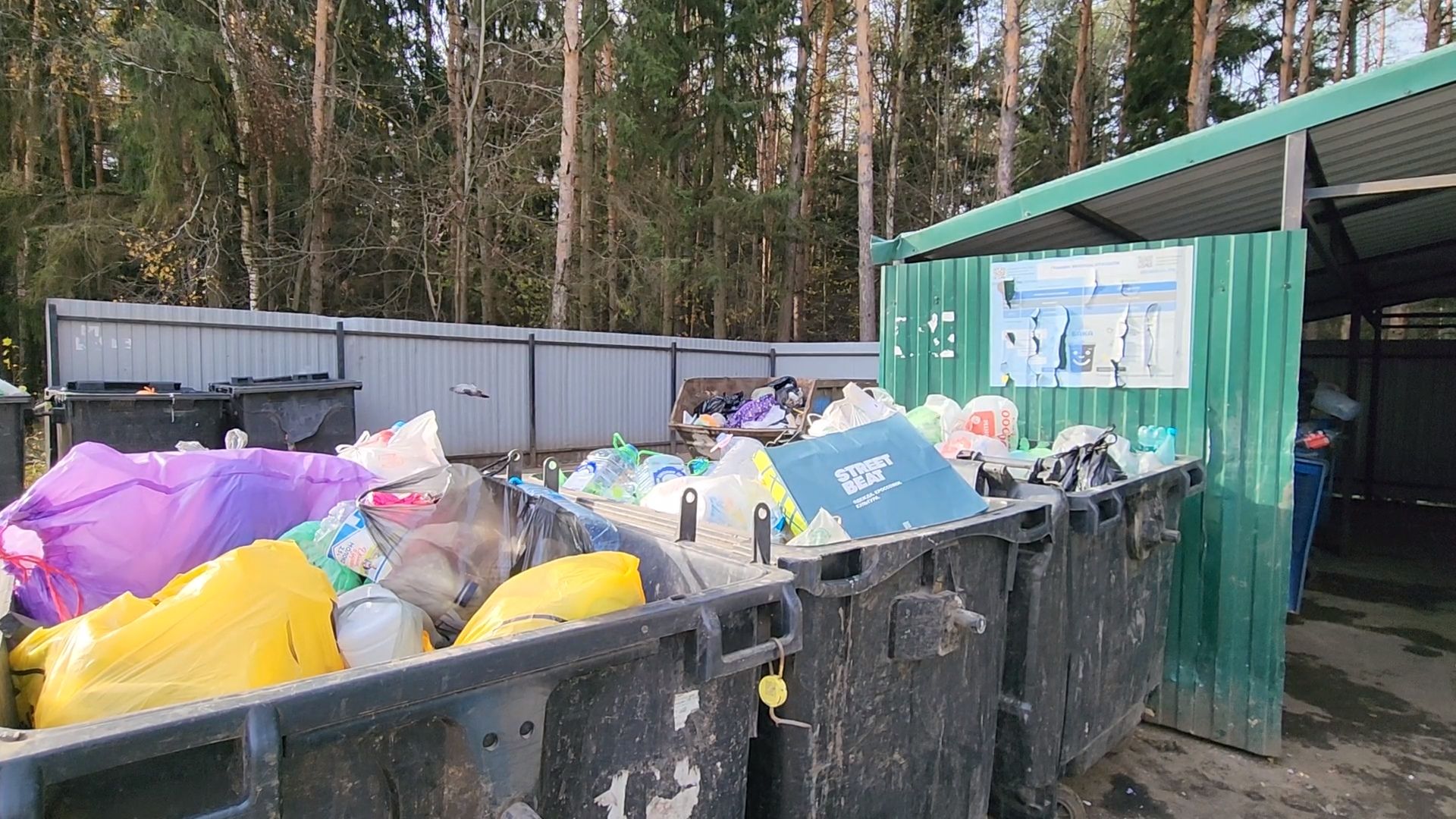 Одинцово, часцы, тко, вывоз отходов, вывоз тко, мусор, регоператор, контейнерная площадка,