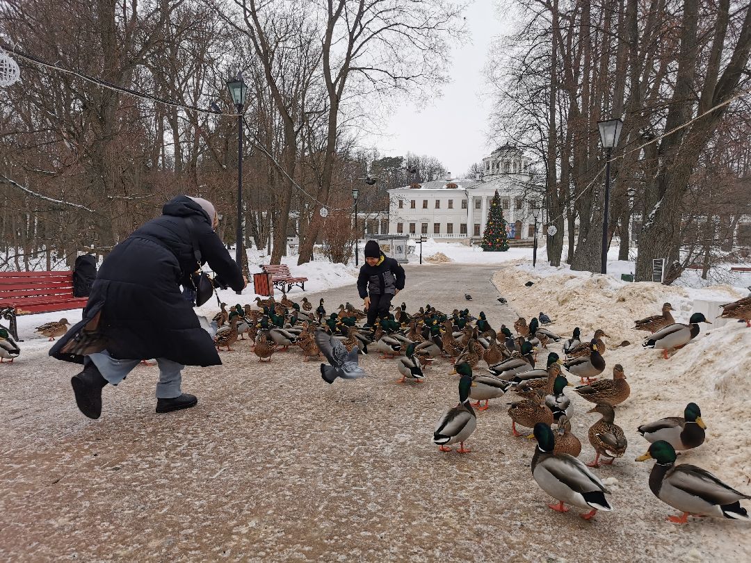Подольск Города