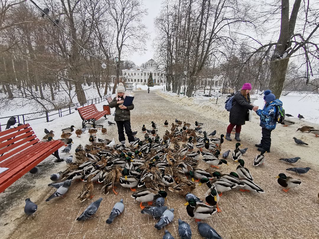 Подольск Города