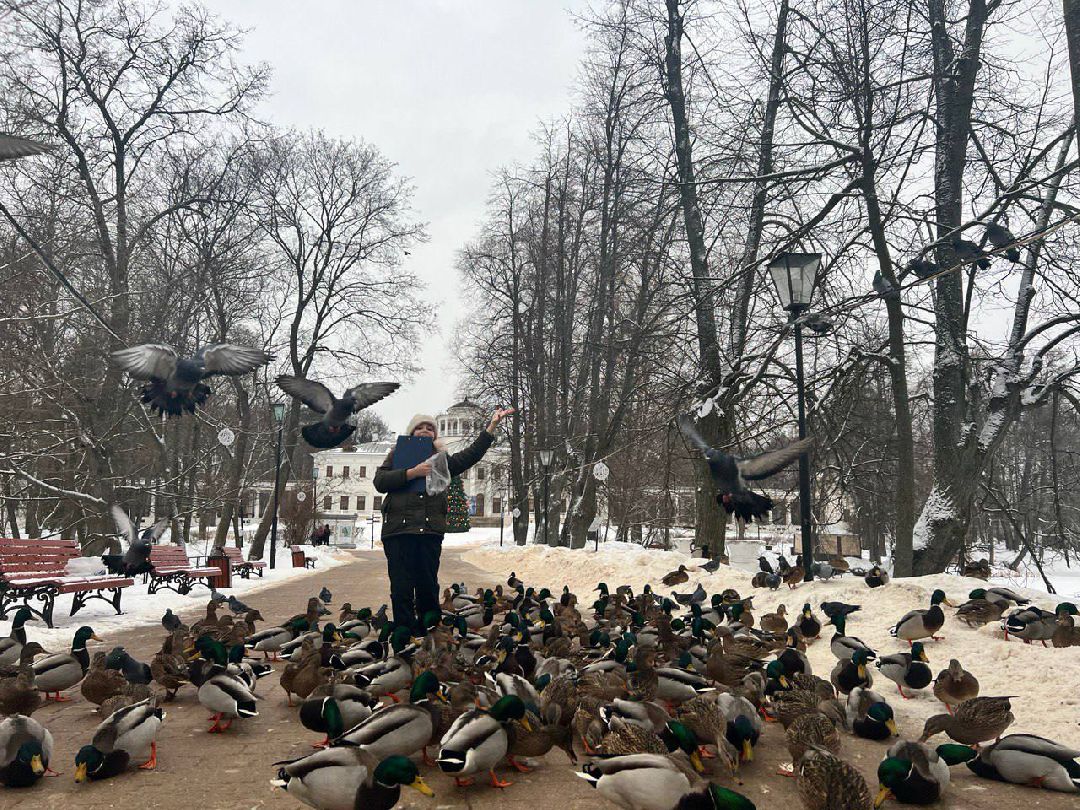Подольск Города