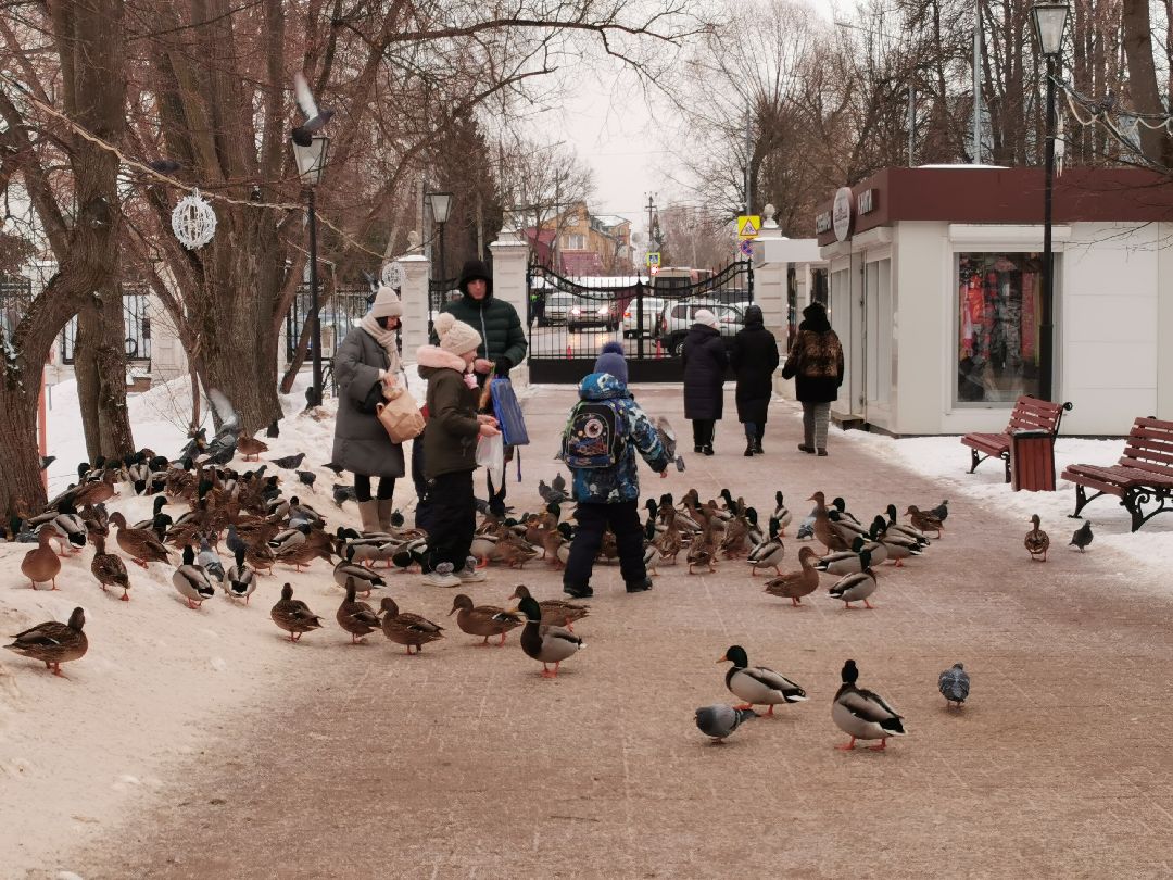 Подольск Города