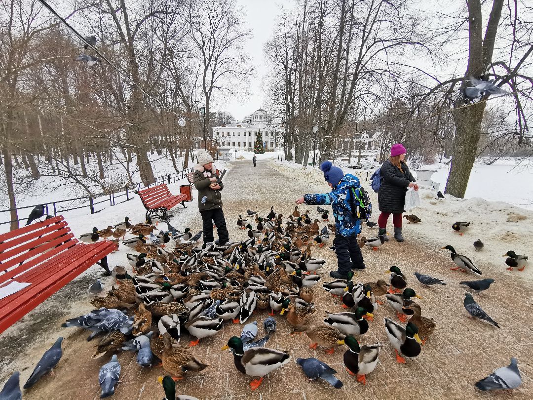 Подольск Города