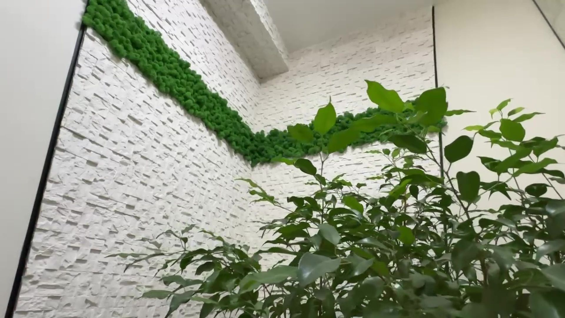 Реутов, благоустойство, конкурс главы, лучший дом, лучший подъезд,