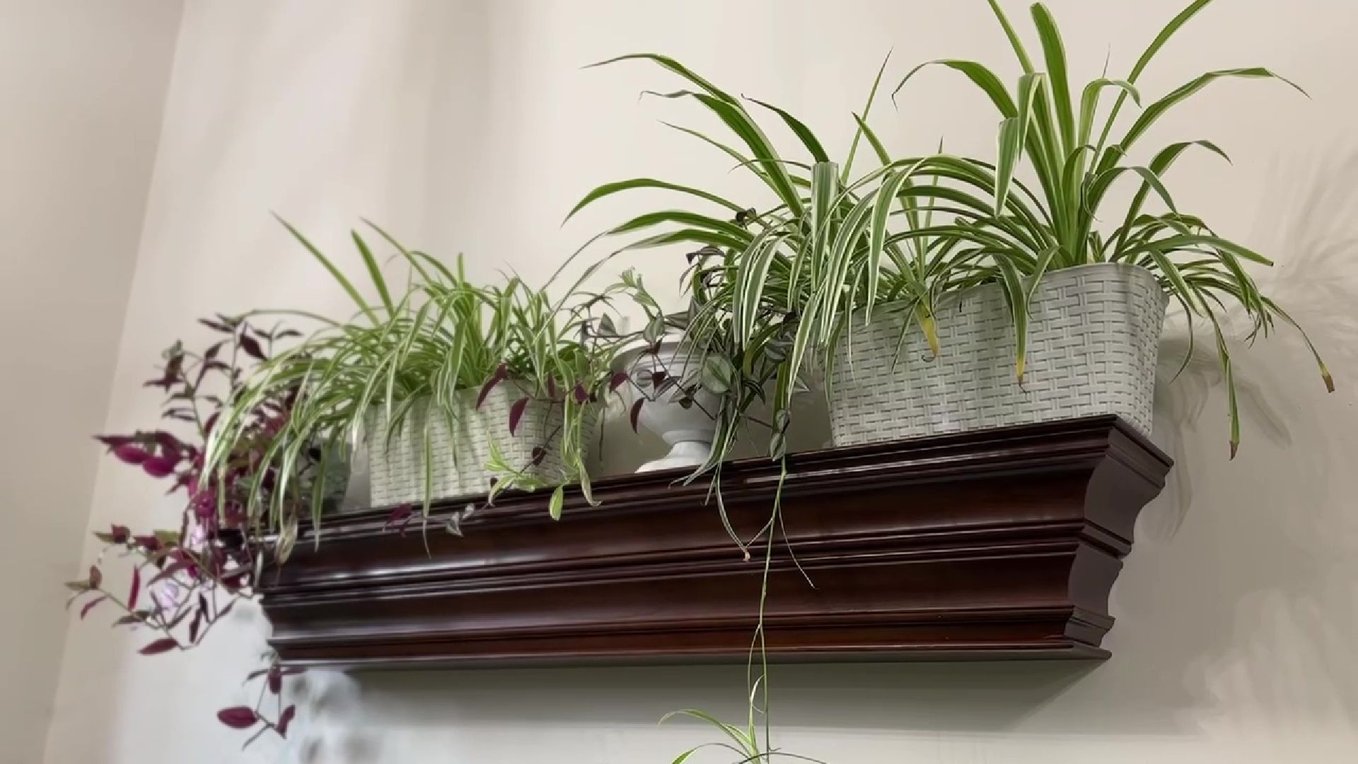 Реутов, благоустойство, конкурс главы, лучший дом, лучший подъезд,