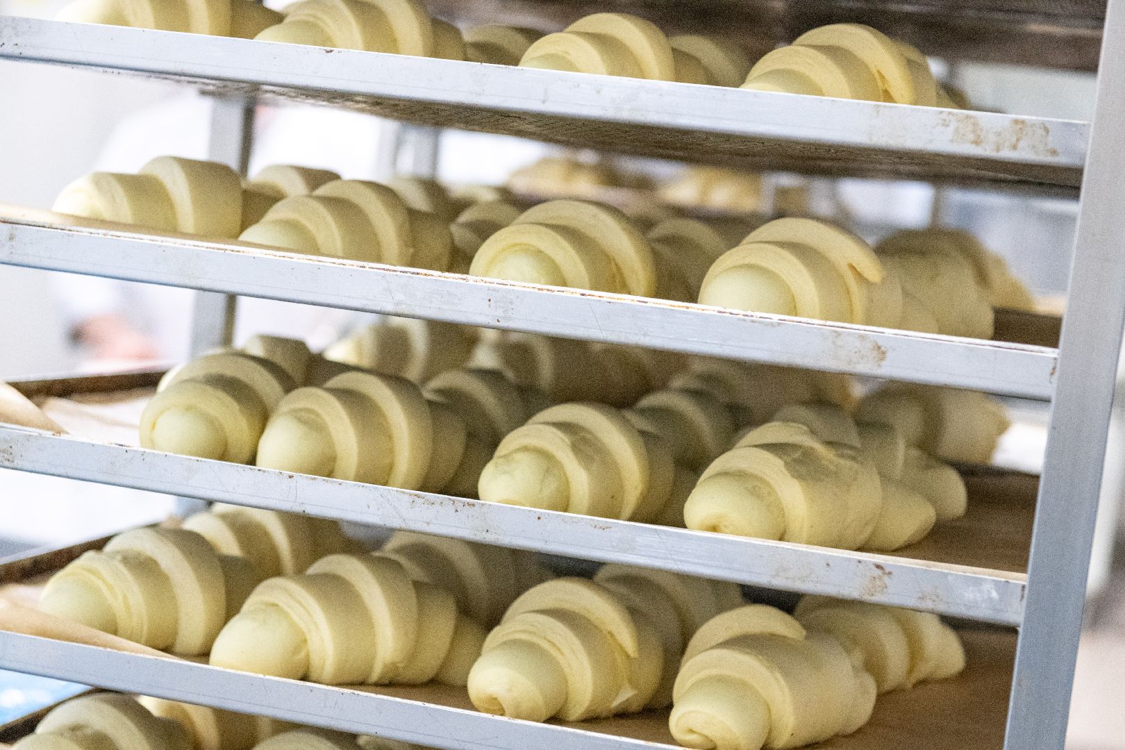 лыткарино, экономика, еда, предприятие, меры поддержки, импортозамещение,