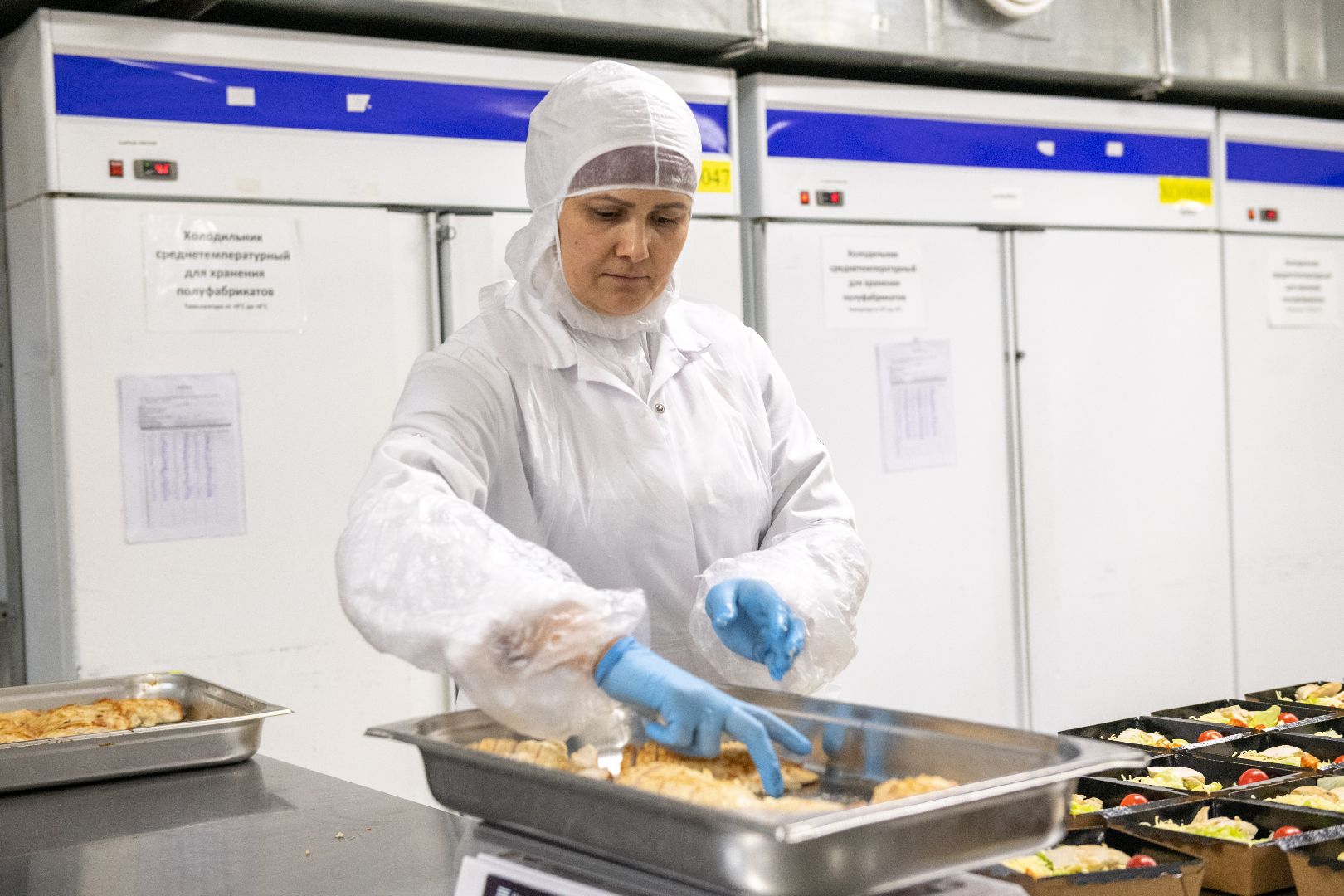 лыткарино, экономика, еда, предприятие, меры поддержки, импортозамещение,