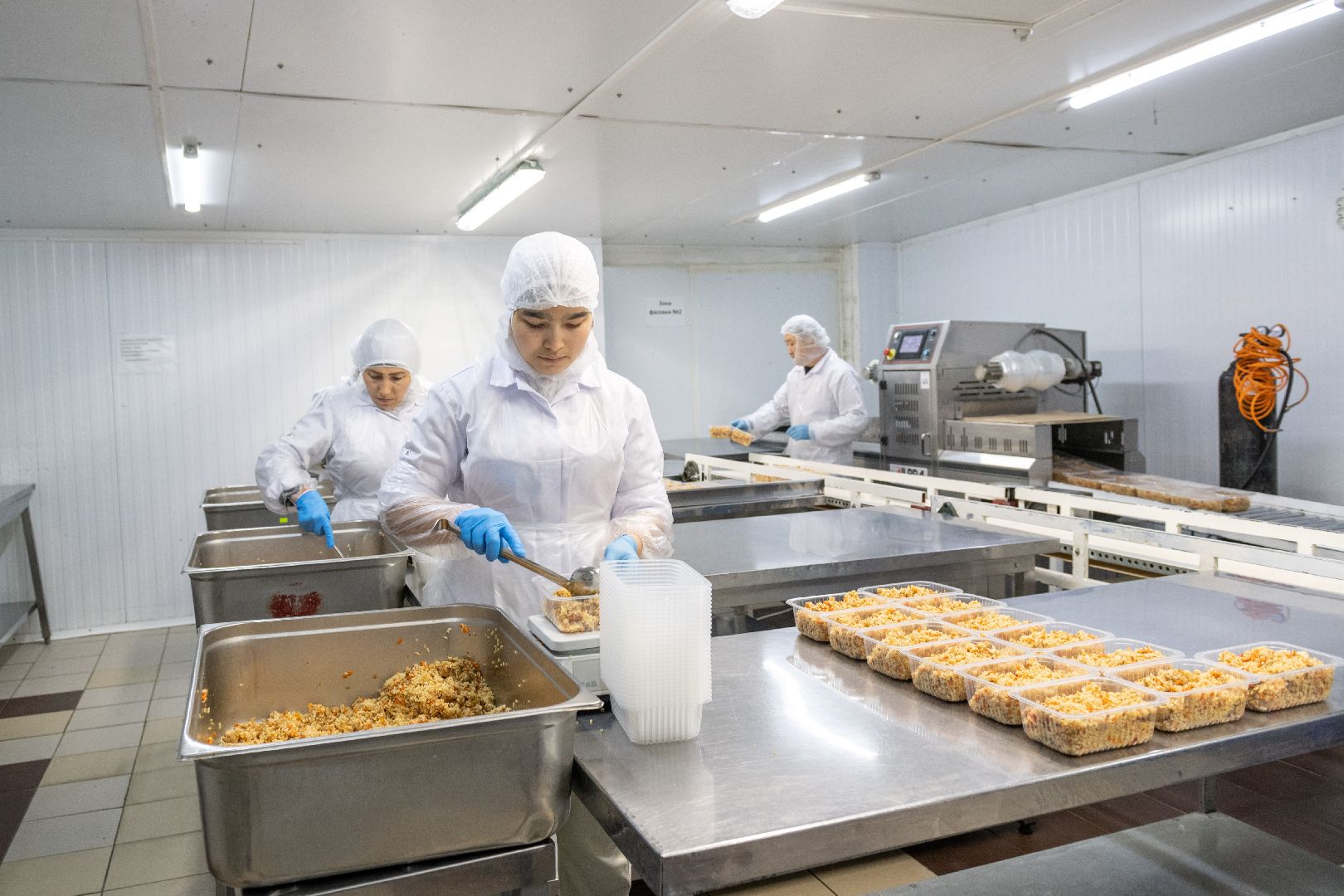 лыткарино, экономика, еда, предприятие, меры поддержки, импортозамещение,