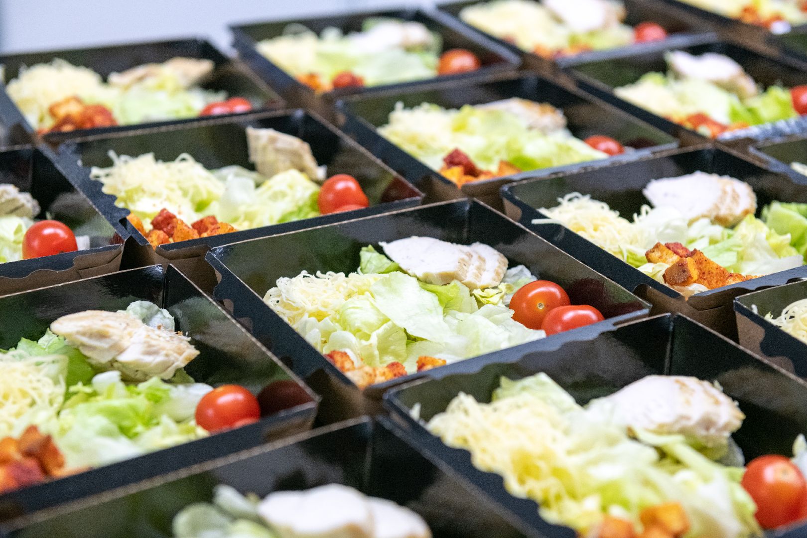 лыткарино, экономика, еда, предприятие, меры поддержки, импортозамещение,