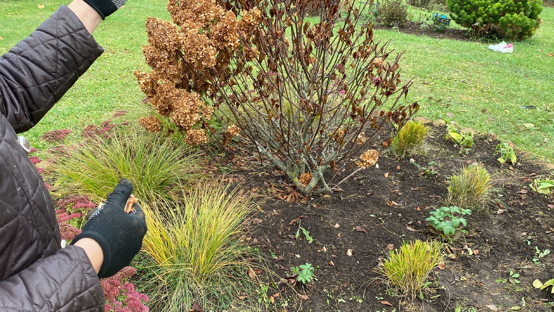 волоколамск, озеленение, озеленение двора, цветники, мнение,