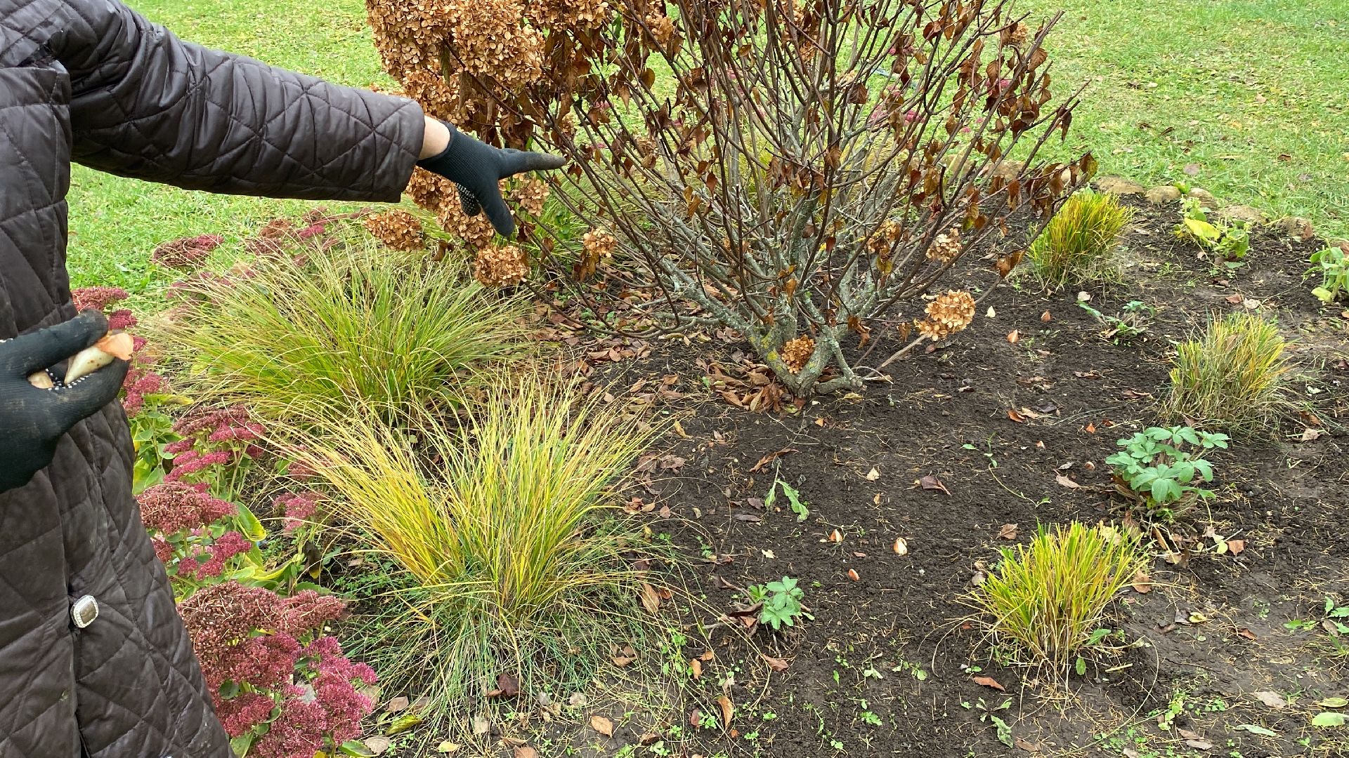 волоколамск, озеленение, озеленение двора, цветники, мнение,