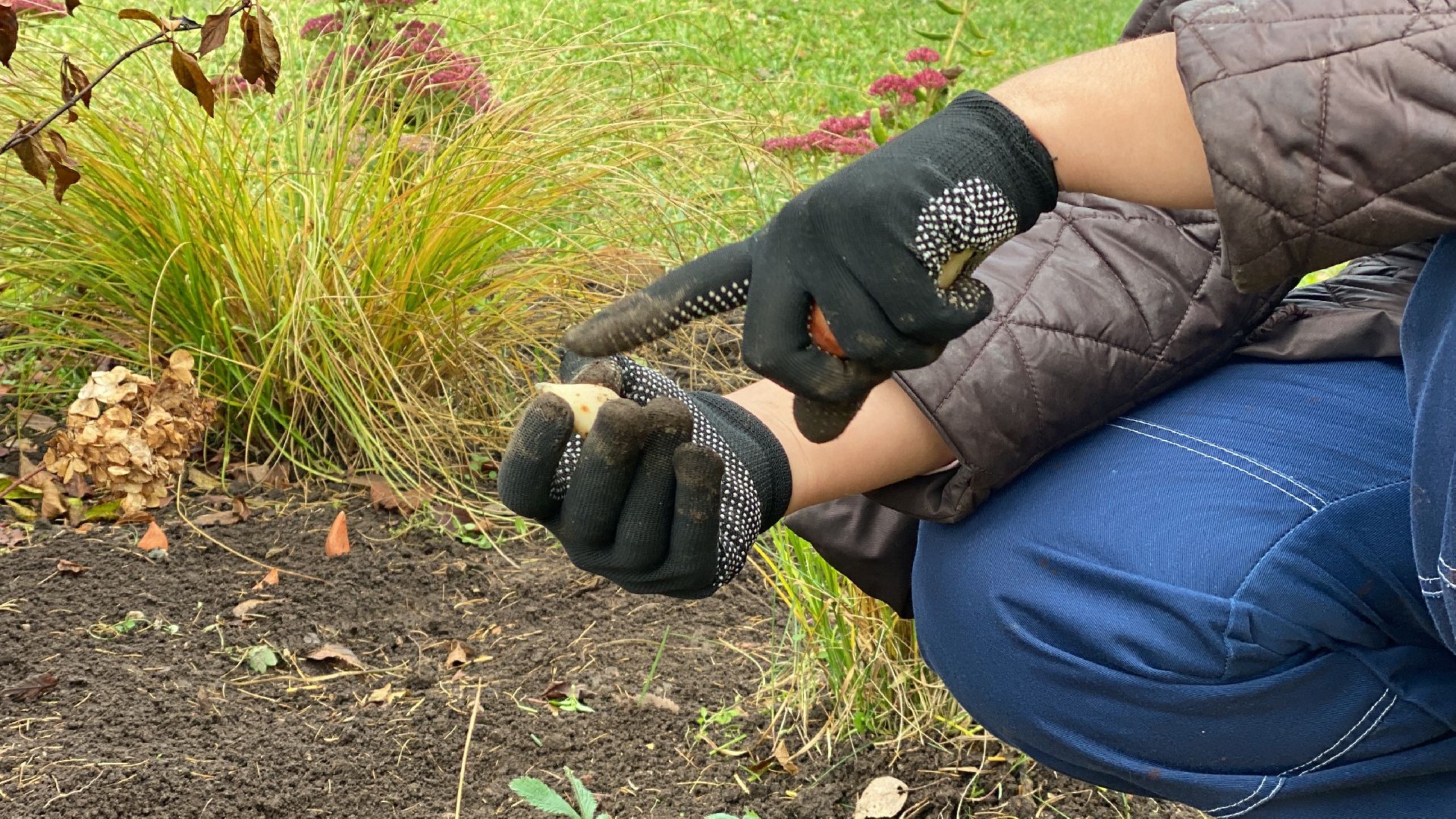 волоколамск, озеленение, озеленение двора, цветники, мнение,