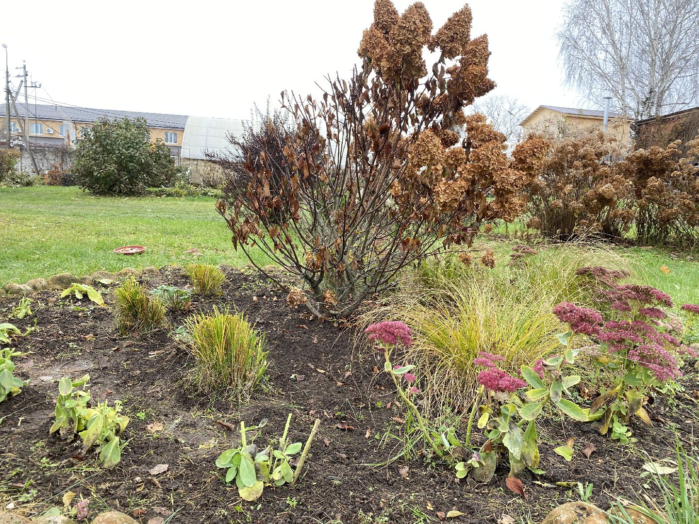 волоколамск, озеленение, озеленение двора, цветники, мнение,