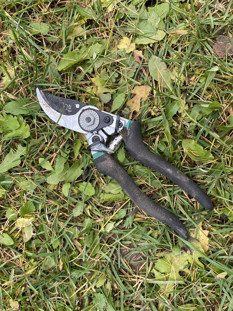 волоколамск, озеленение, озеленение двора, цветники, мнение,