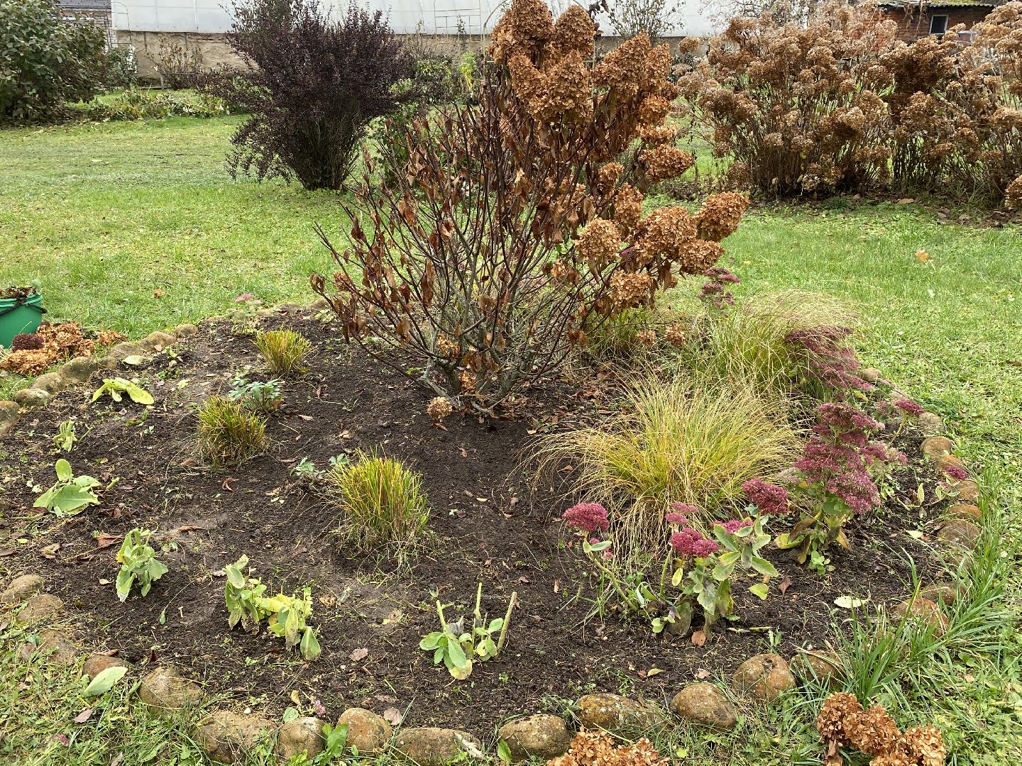 волоколамск, озеленение, озеленение двора, цветники, мнение,