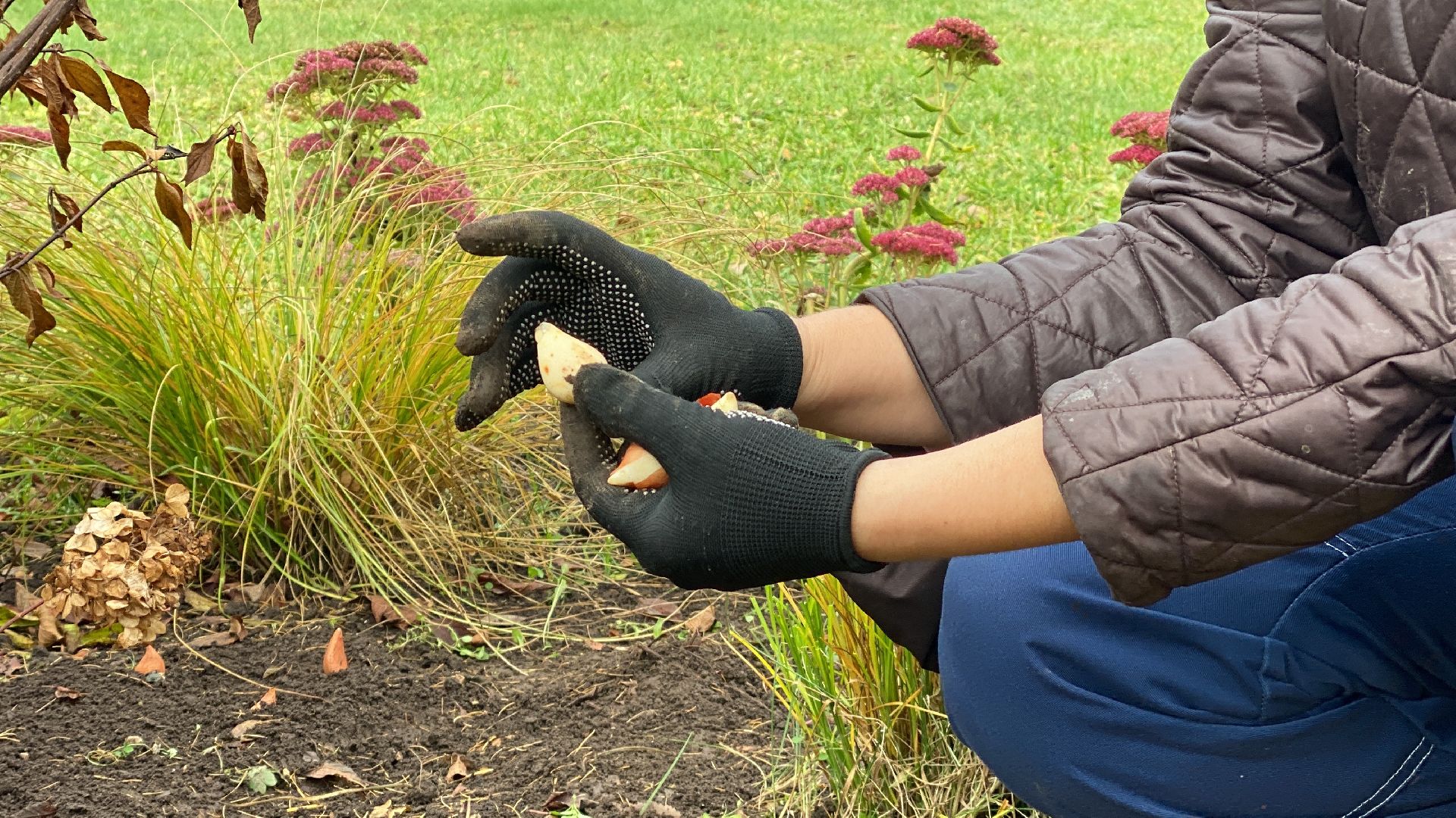 волоколамск, озеленение, озеленение двора, цветники, мнение,