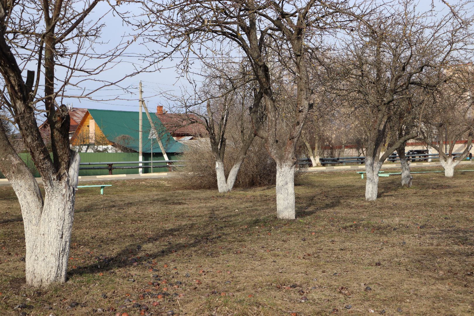 Серебряные Пруды, поселок Успенский, Яблоневый сад, благоустройство,