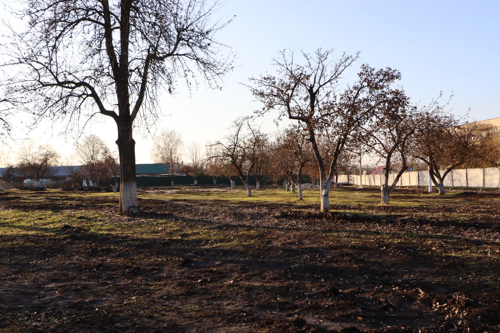 Серебряные Пруды, поселок Успенский, Яблоневый сад, благоустройство,