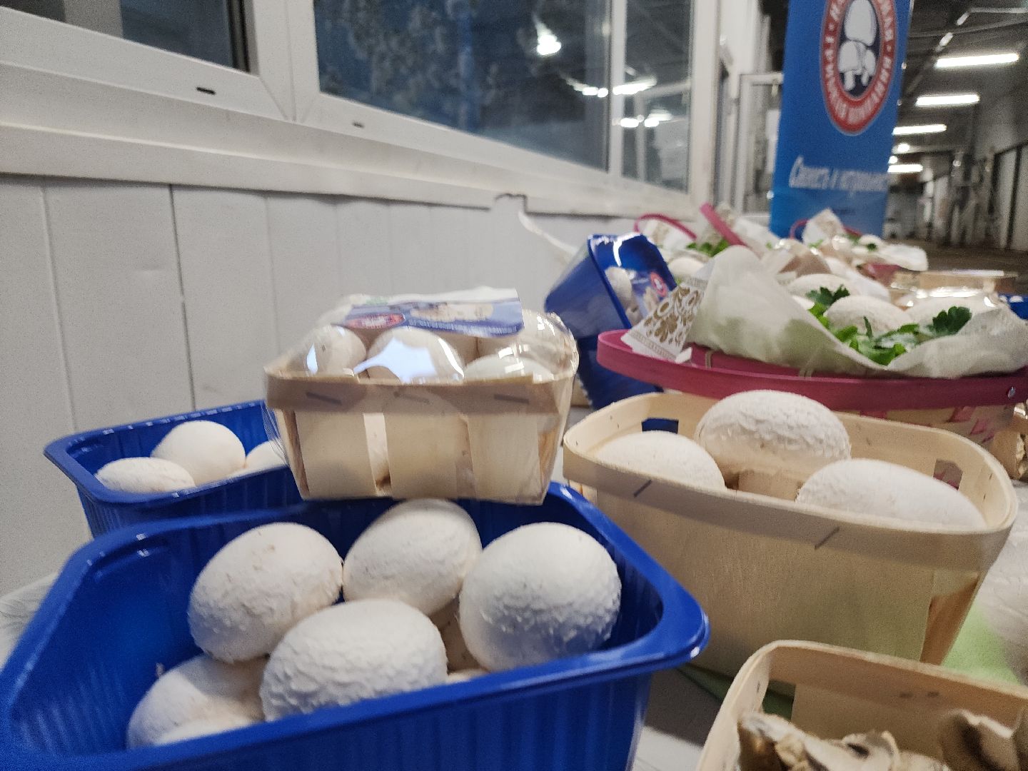 кашира, грибная компания, шампиньоны, натуральный продукт, рестораны,