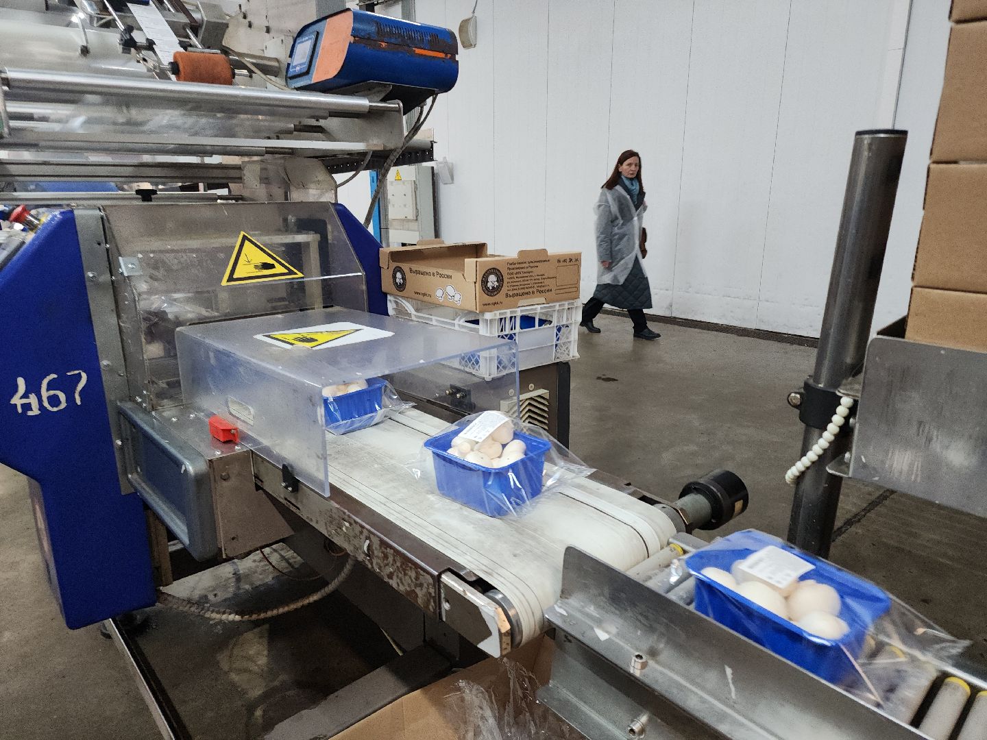 кашира, грибная компания, шампиньоны, натуральный продукт, рестораны,