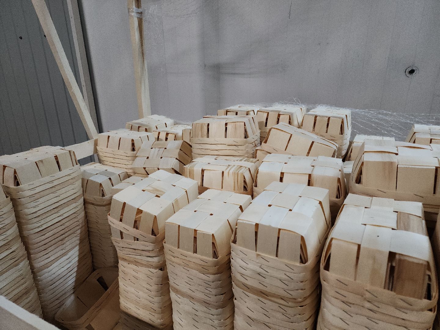 кашира, грибная компания, шампиньоны, натуральный продукт, рестораны,