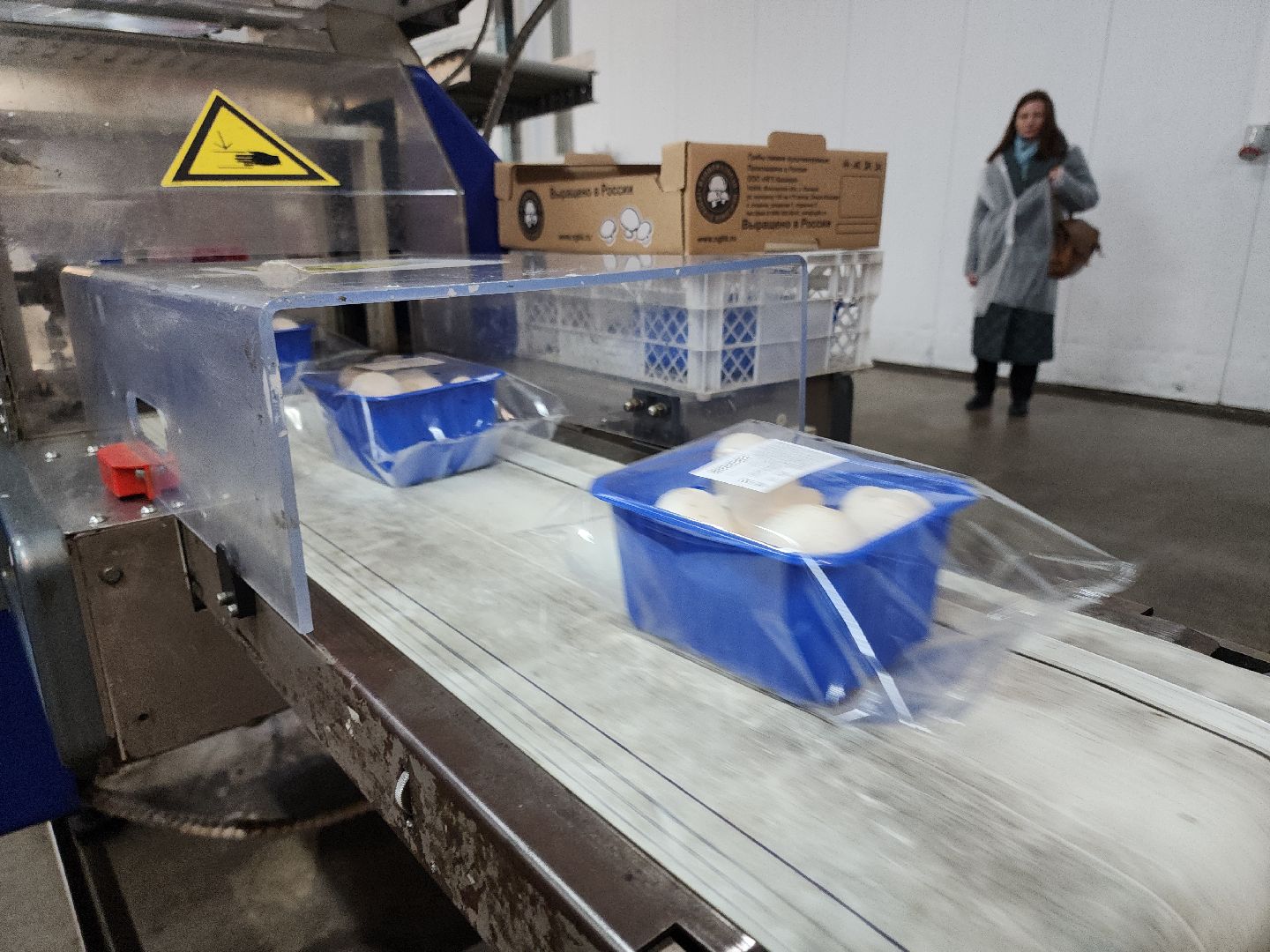 кашира, грибная компания, шампиньоны, натуральный продукт, рестораны,