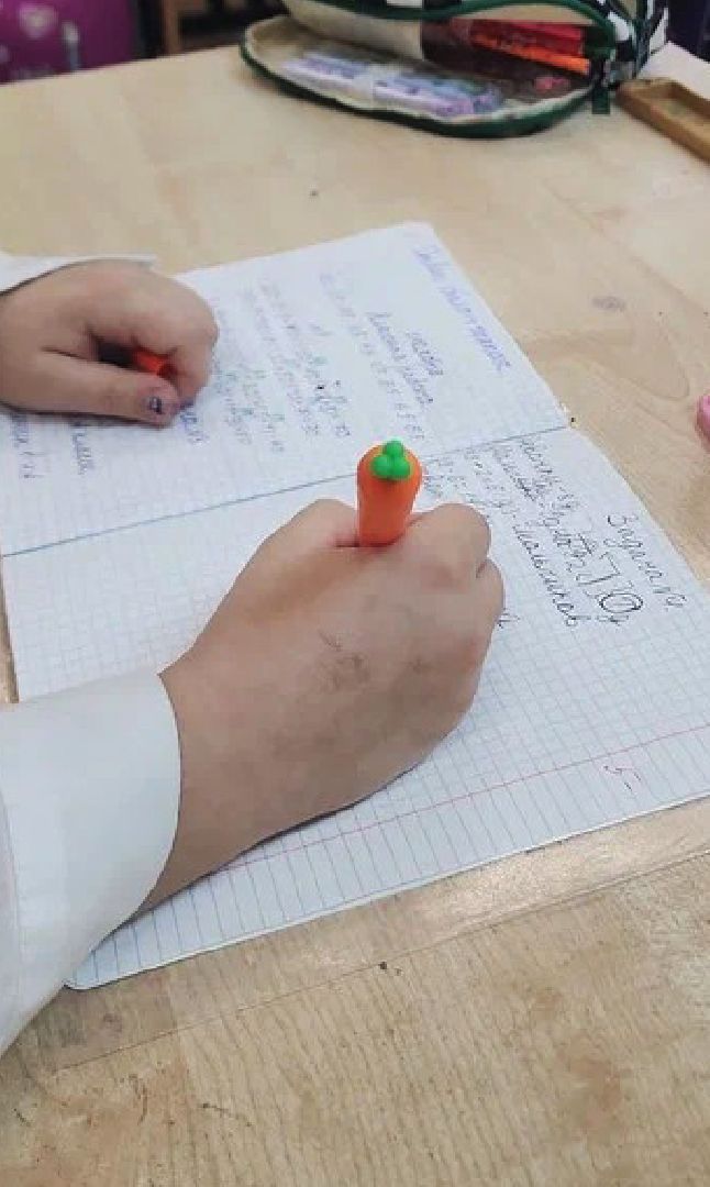 орлята россии, начальная школа, электросталь, доброволец, эколог, общественное движение, детское движение,