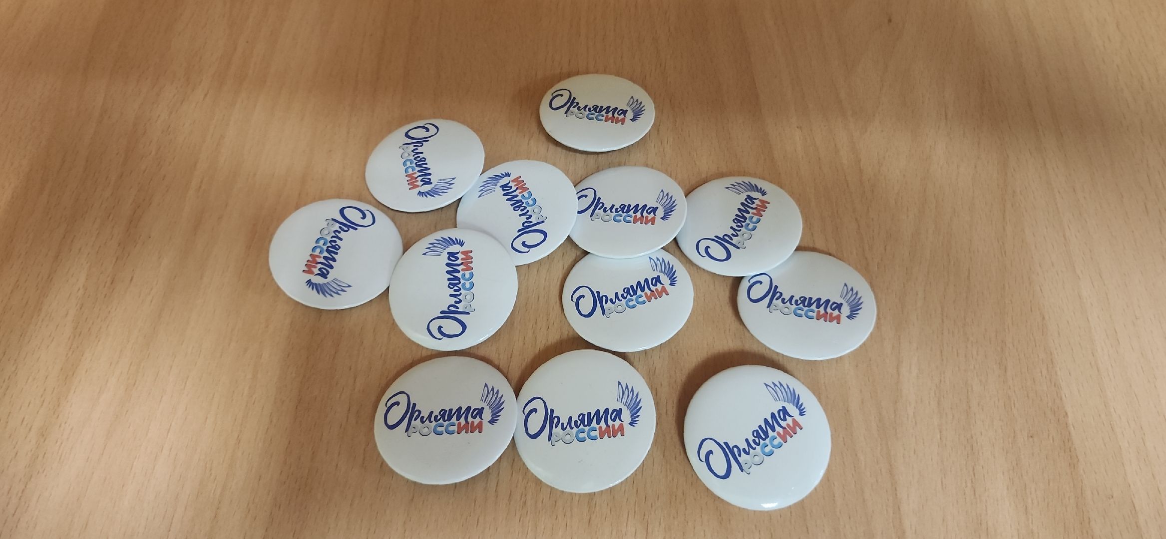 орлята россии, начальная школа, электросталь, доброволец, эколог, общественное движение, детское движение,