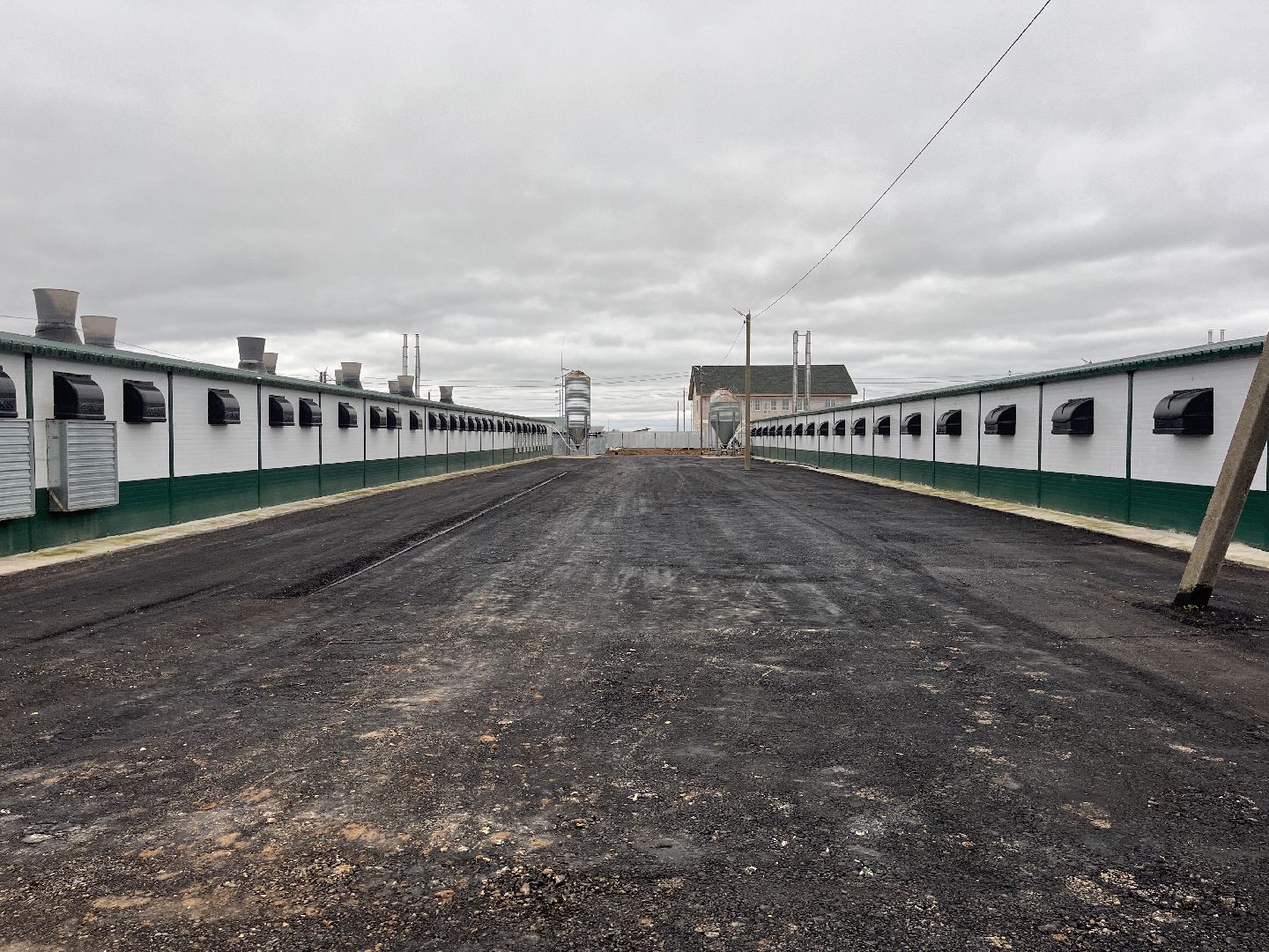 шаховская, птицеводство, куры, производство,