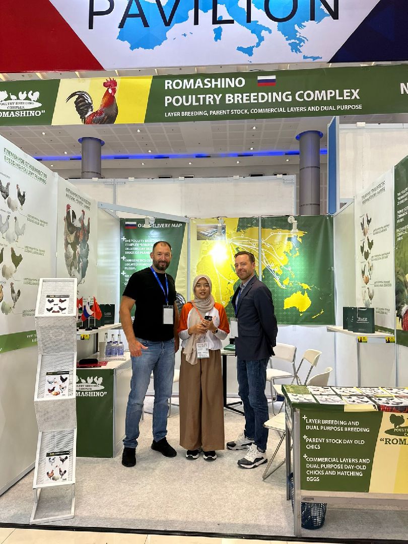 шаховская, птицеводство, куры, производство,