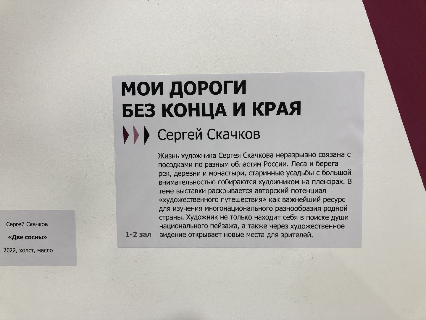 Химки, картины, подмосковье,