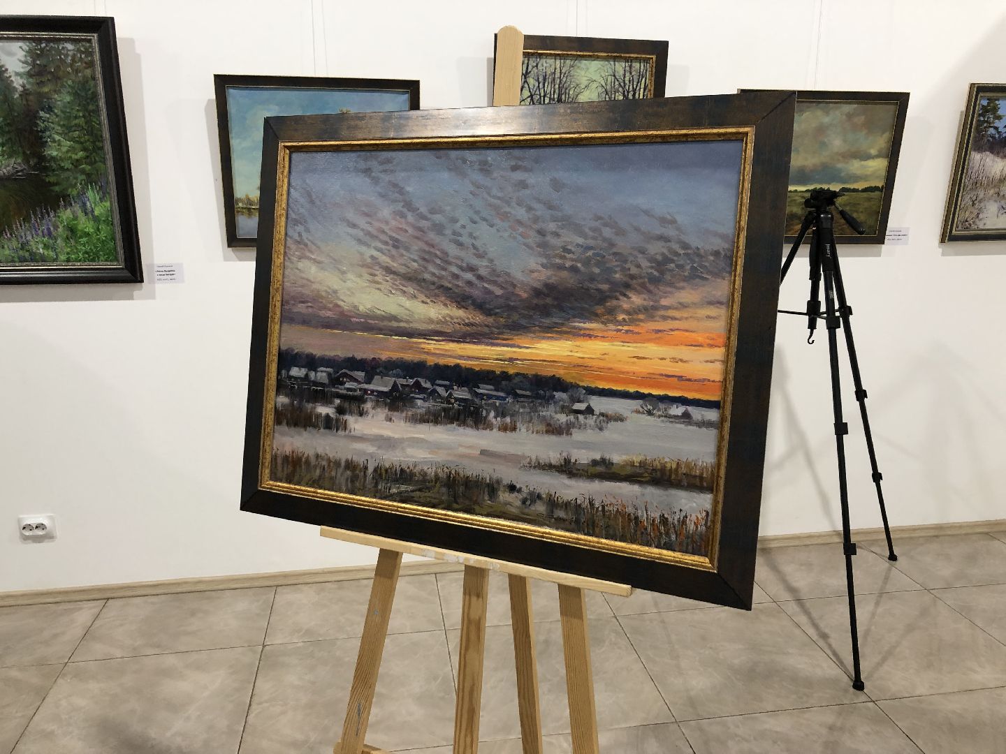 Химки, картины, подмосковье,