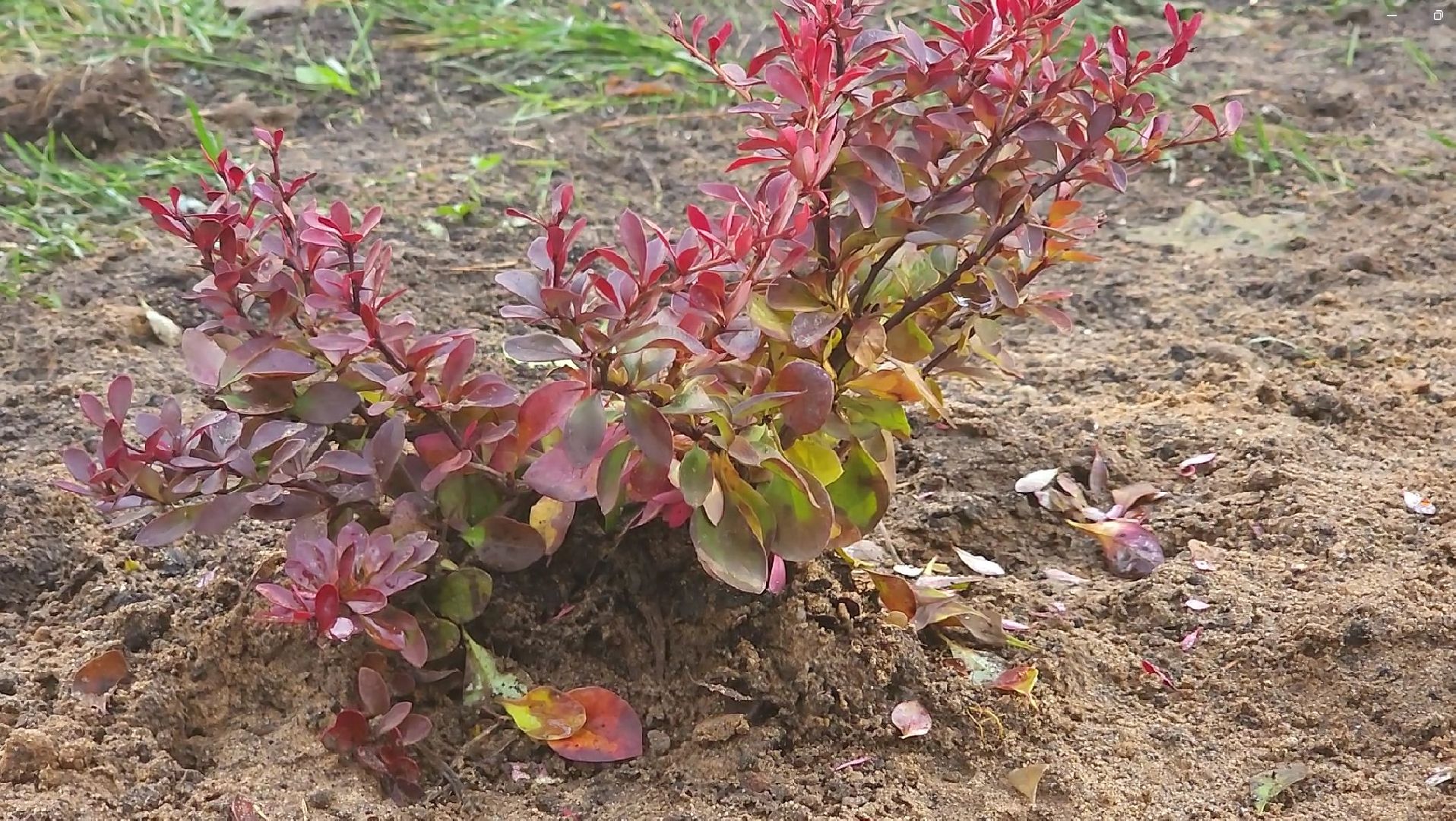 благоустройство, комфортная городская среда,