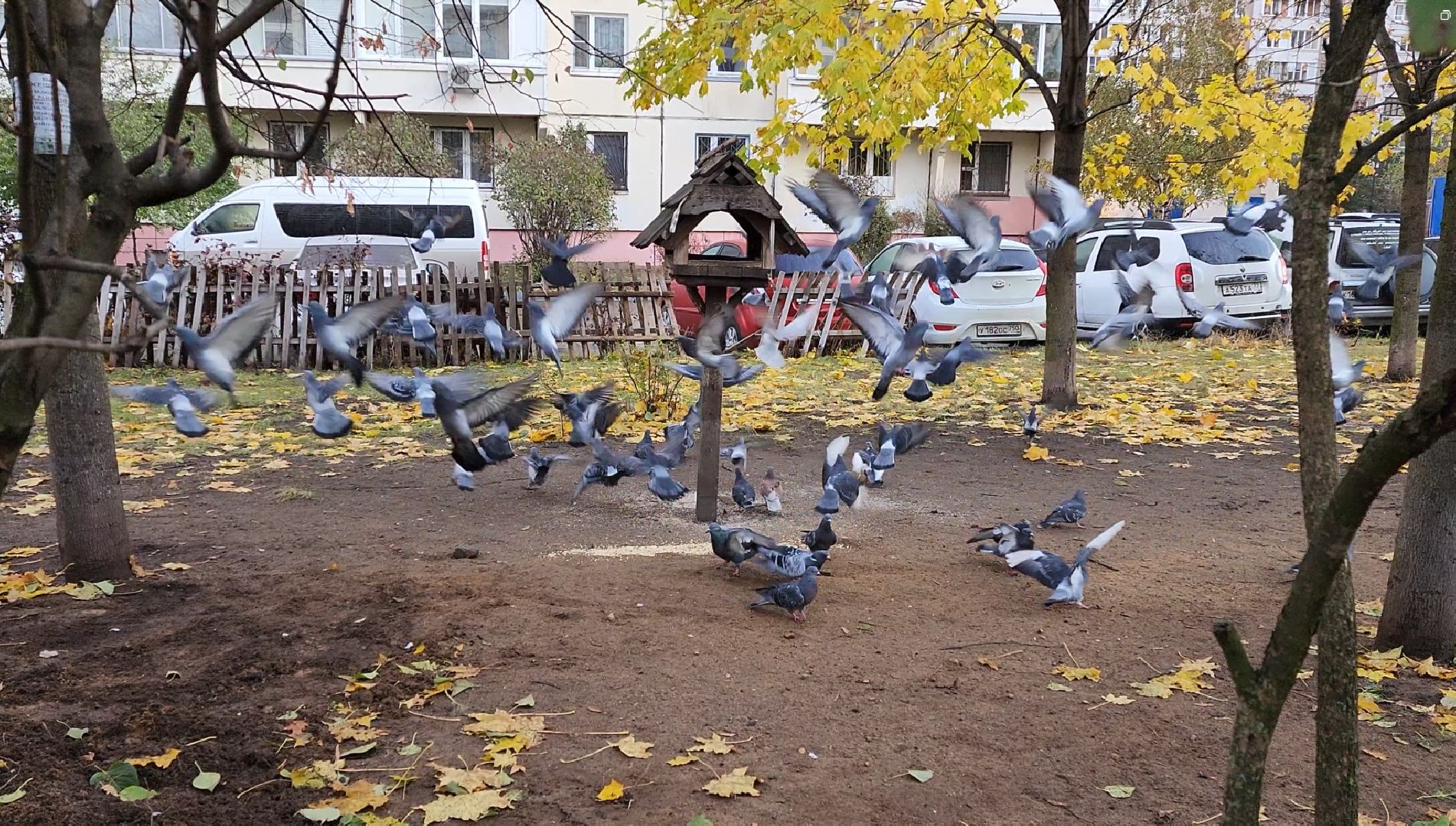 благоустройство, комфортная городская среда,