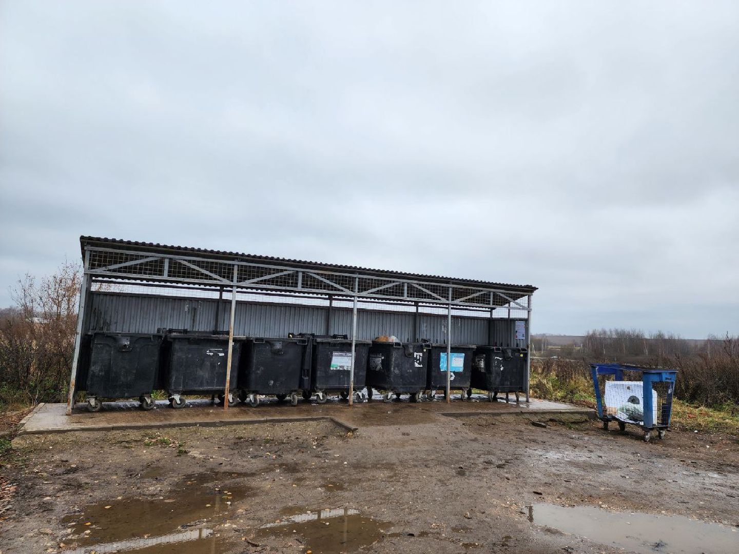 можайск, можайский городской округ, подмосковье, мусор, контейнерная площадка, КГО, ТКО, отходы, баки,