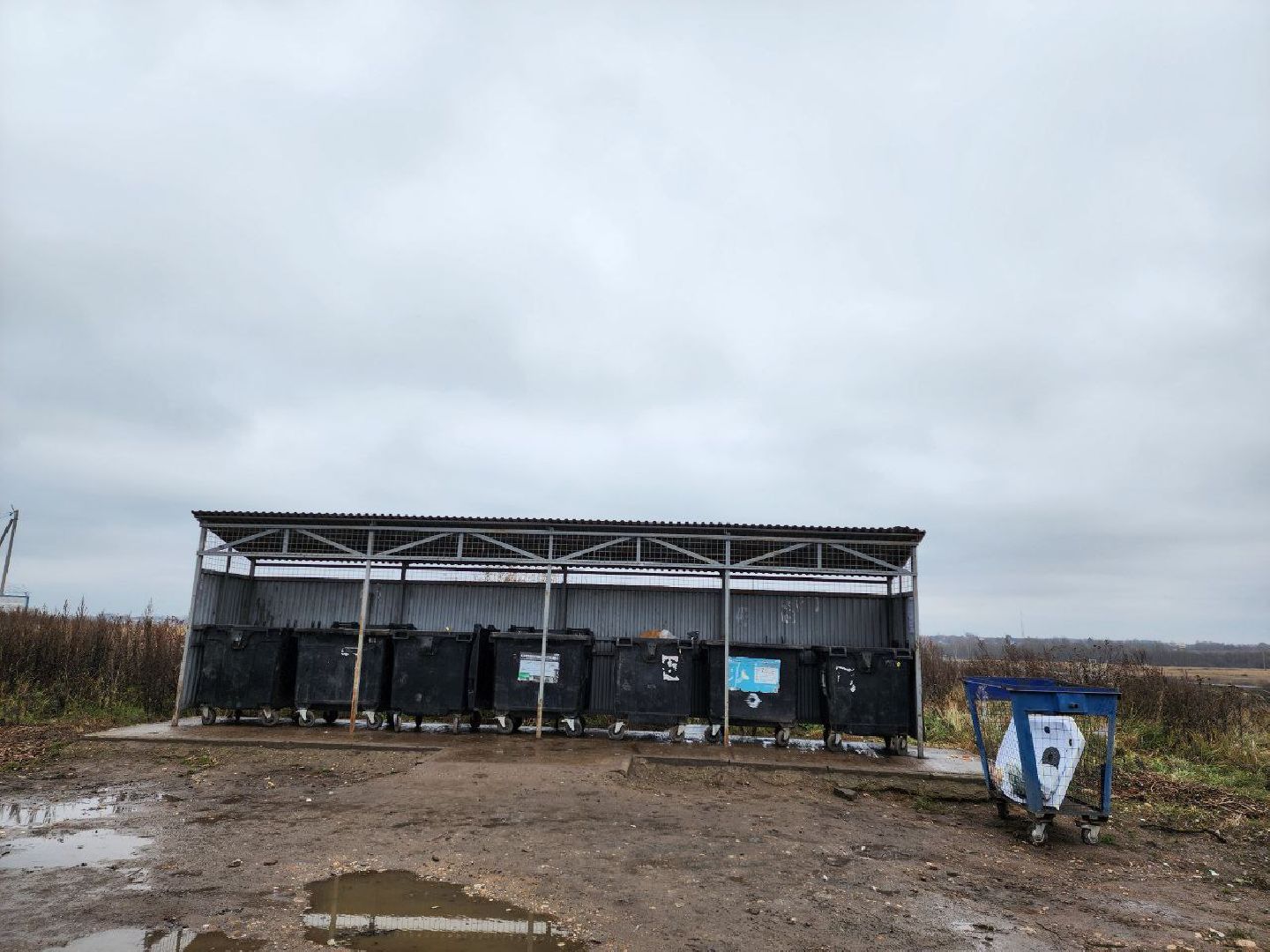 можайск, можайский городской округ, подмосковье, мусор, контейнерная площадка, КГО, ТКО, отходы, баки,