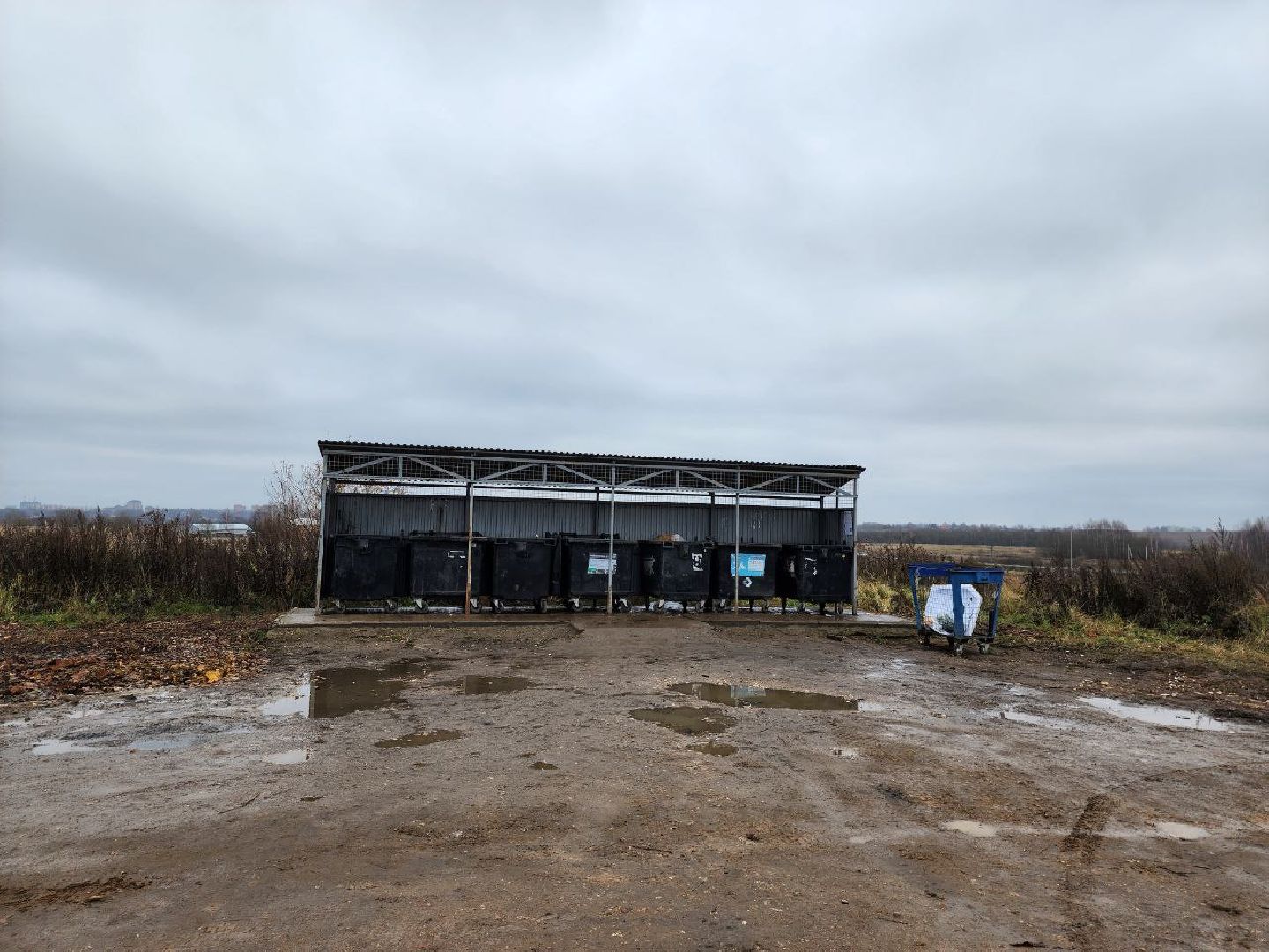 можайск, можайский городской округ, подмосковье, мусор, контейнерная площадка, КГО, ТКО, отходы, баки,
