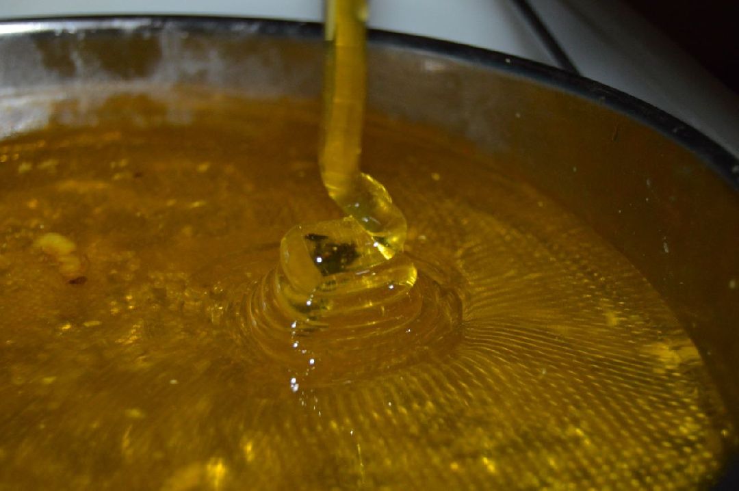 Шатура, сво, пчеловод, мёд, воск