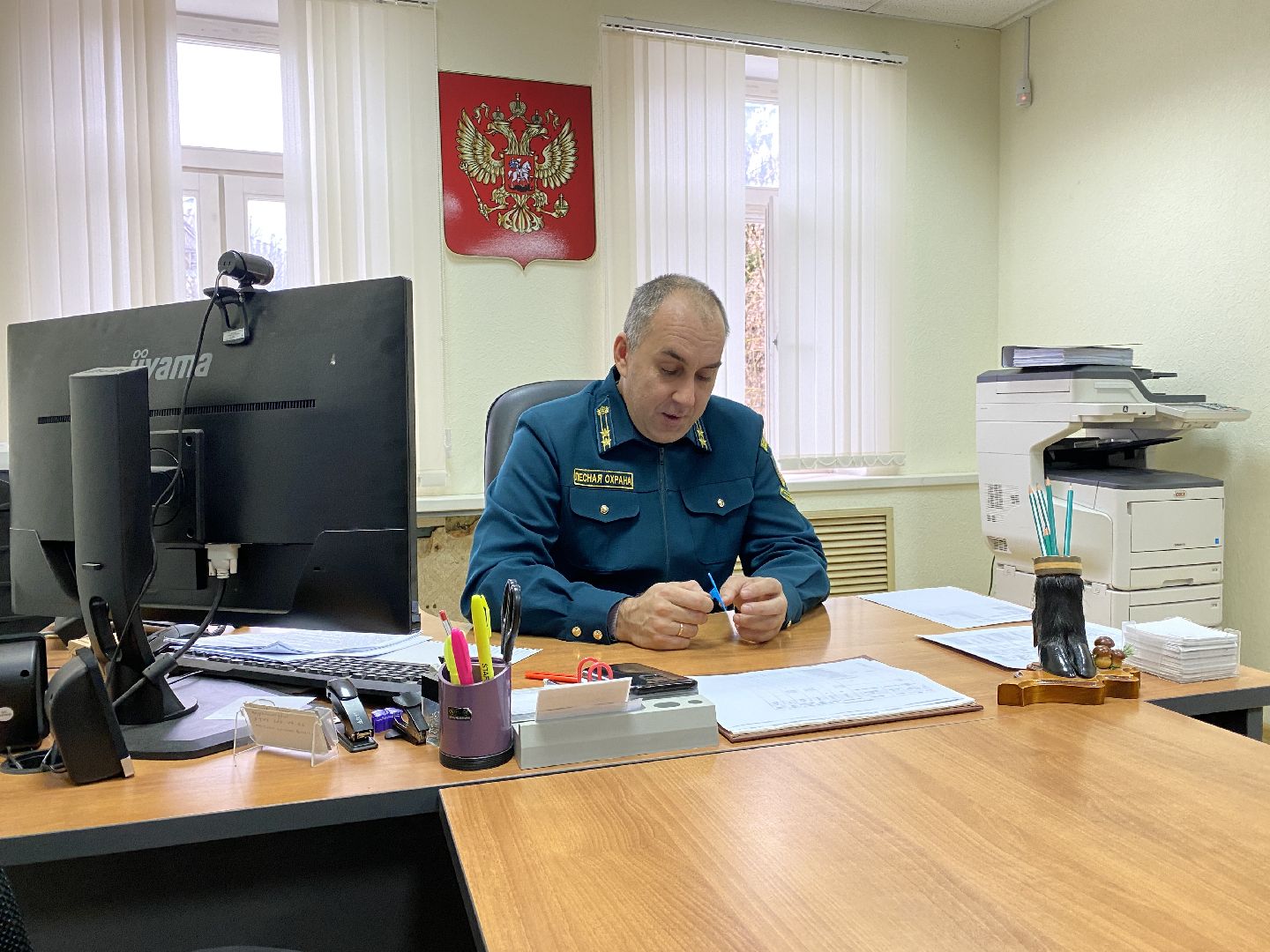 волоколамск, экология, лесничество, мособллес,