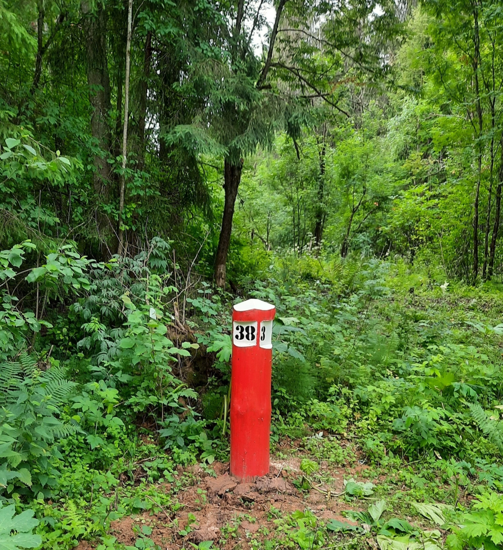 волоколамск, экология, лесничество, мособллес,