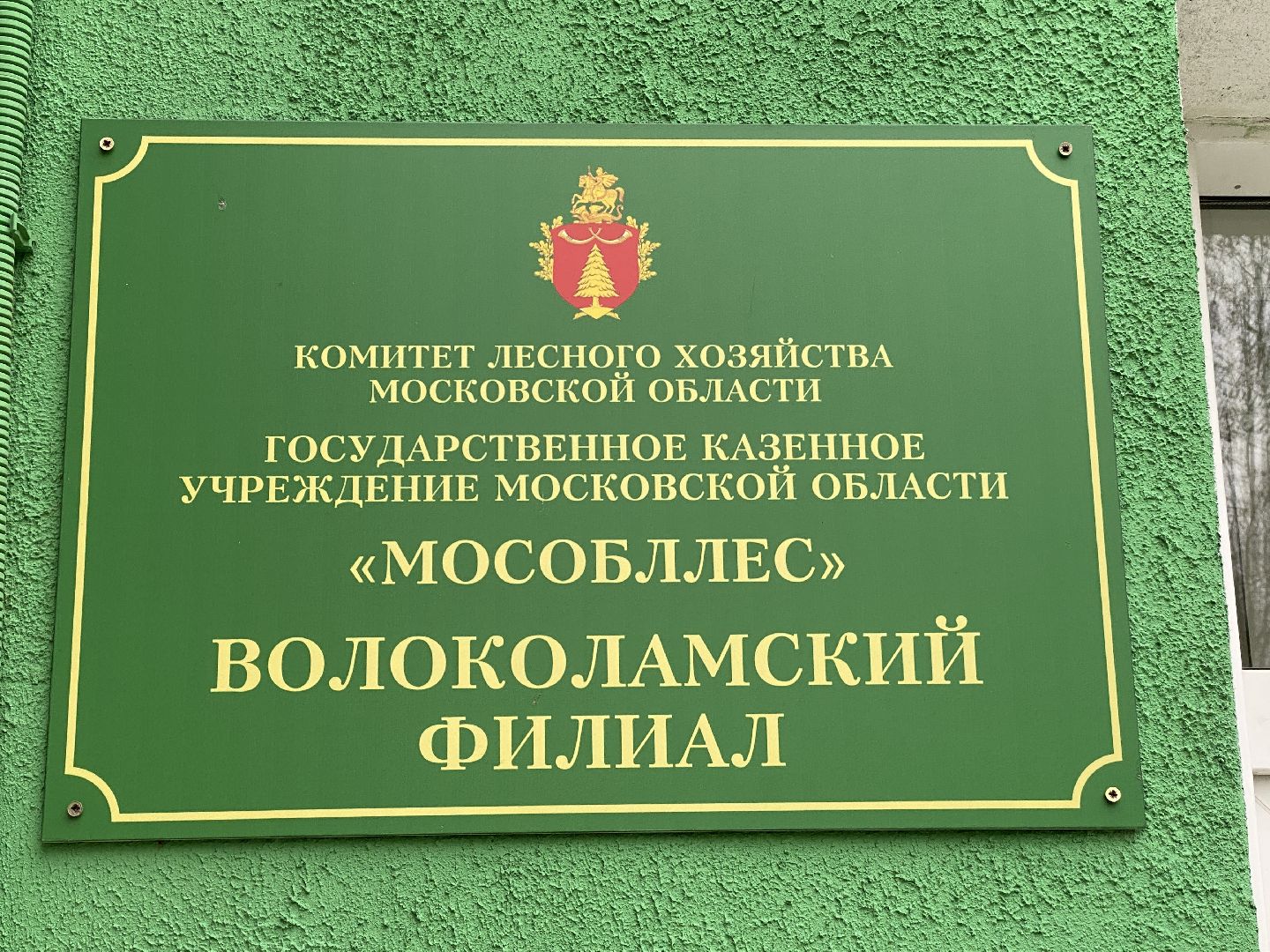 волоколамск, экология, лесничество, мособллес,