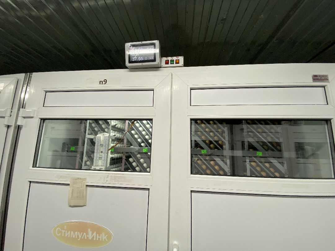 Шаховская, бизнес